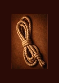 Image for choice number 1