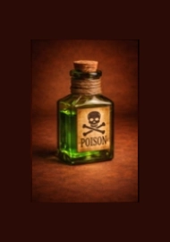 Image for choice number 1